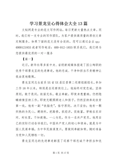 学习景龙呈心得体会大全13篇.docx