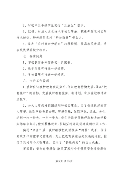 安全自查报告1005.docx