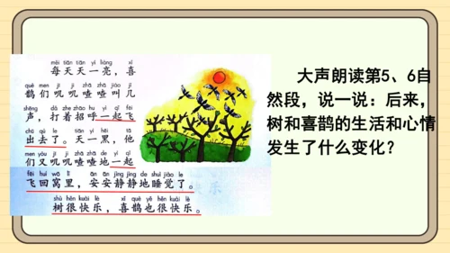 5 树和喜鹊（课件）