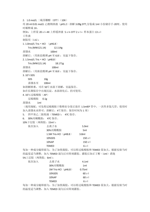 Westernblot试剂配制及操作流程.docx