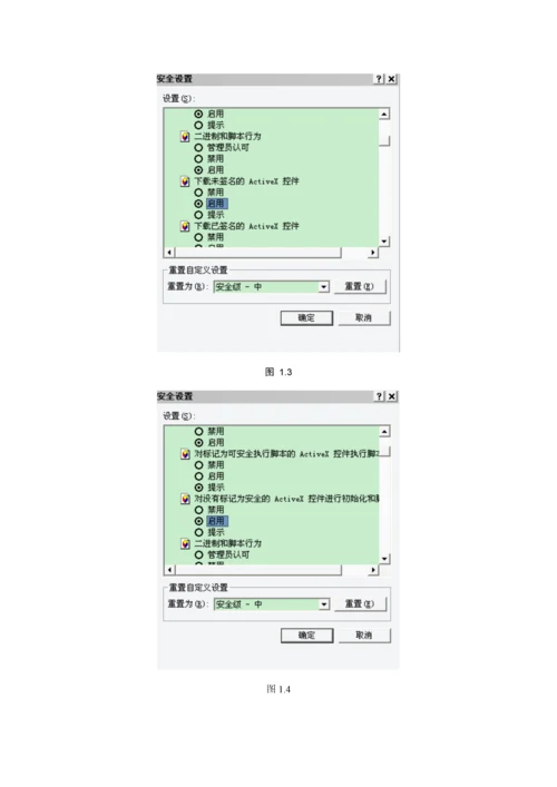 IE使用专项说明书中文.docx