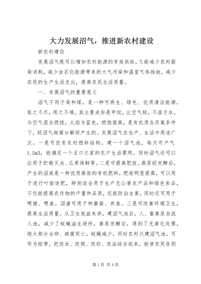 大力发展沼气，推进新农村建设.docx