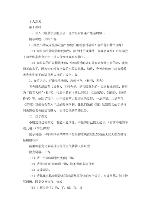 实用的猫教案汇编9篇