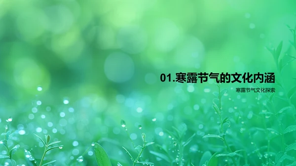 寒露节气环保意识