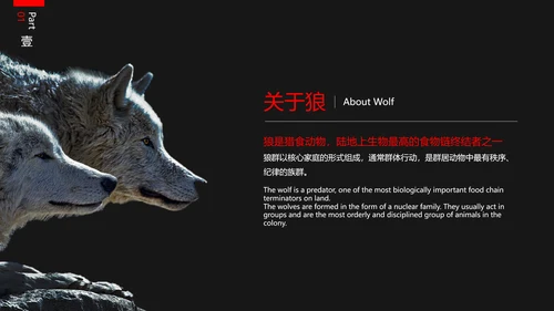 狼性文化教学企业团队培训PPT课件