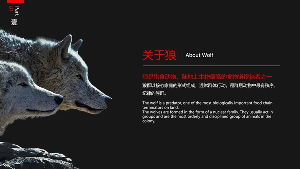 狼性文化教学企业团队培训PPT课件