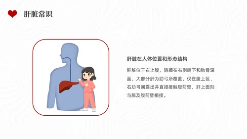 红色水彩简约插画全国爱肝日企业培训PPT课件