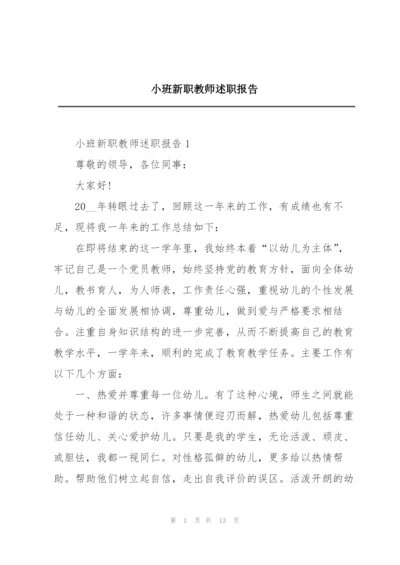 小班新职教师述职报告.docx