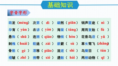 第二单元（单元复习课件）八年级语文下册同步备课系列（统编版）(共31张PPT)