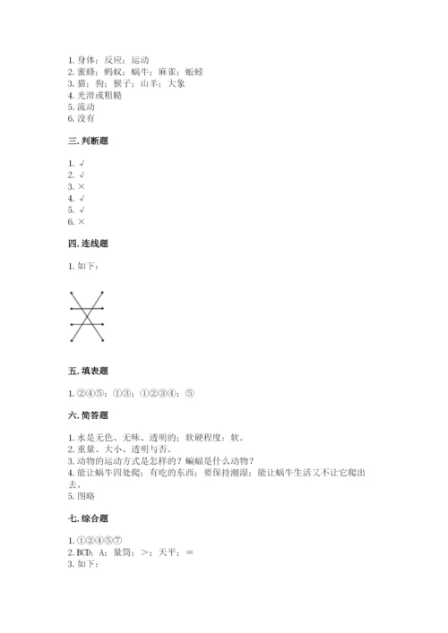 教科版小学科学一年级下册期末测试卷及答案（基础+提升）.docx