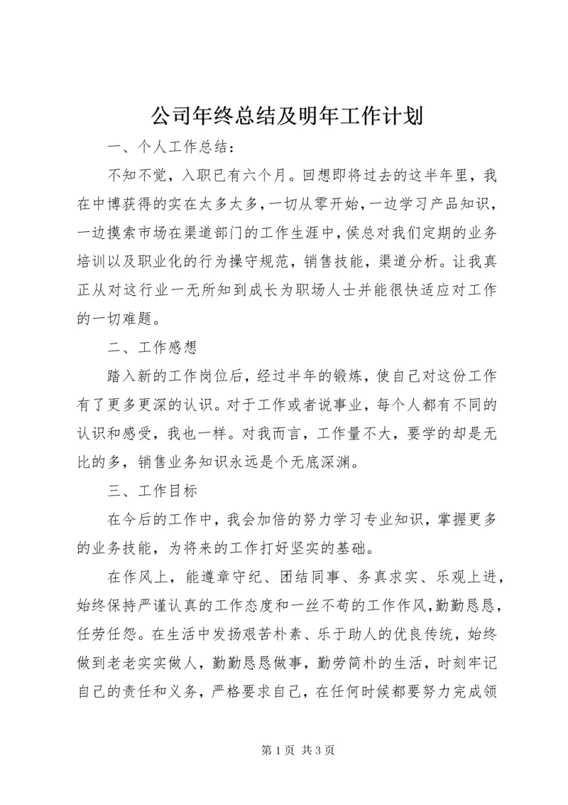 公司年终总结及明年工作计划.docx