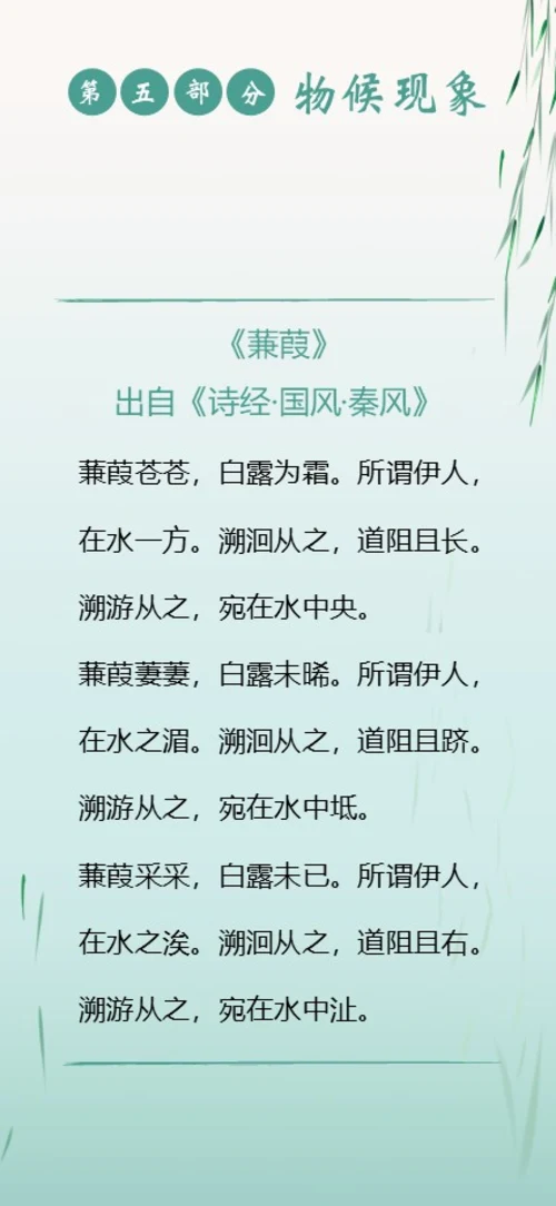 白露节气二十四节气知识手机竖版PPT课件