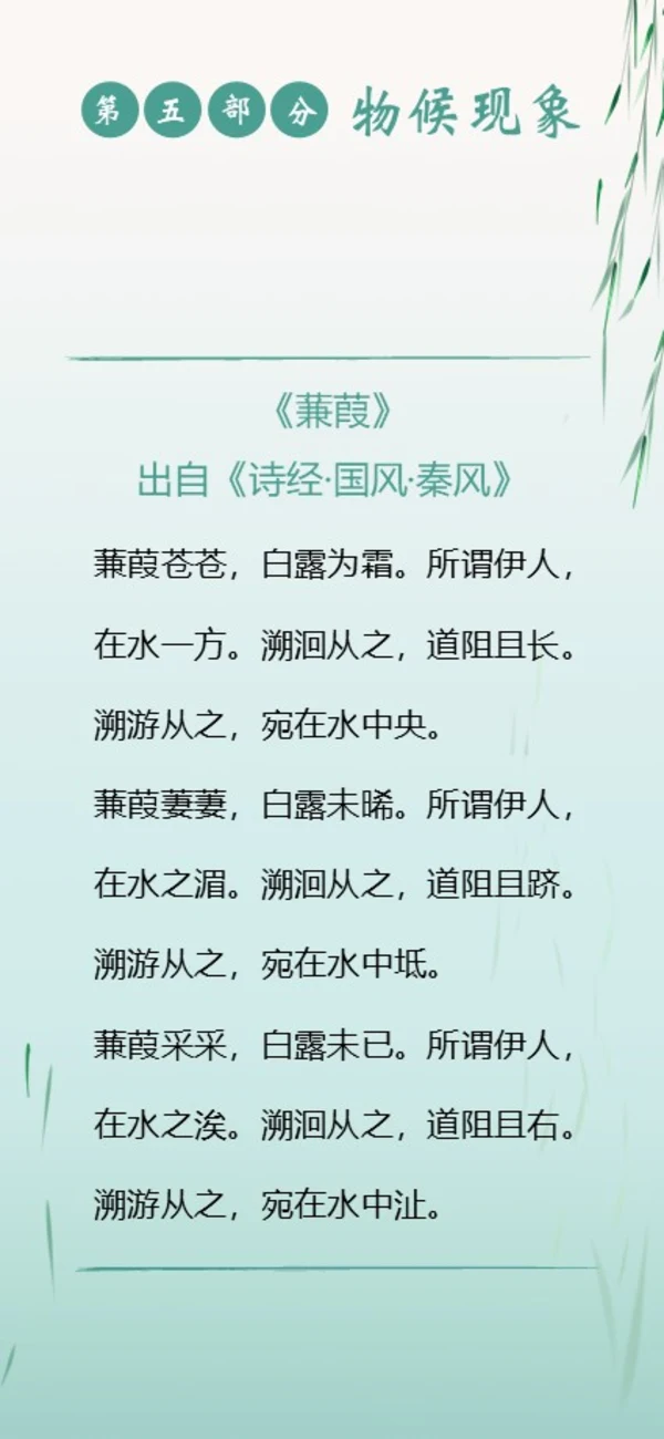 白露节气二十四节气知识手机竖版PPT课件