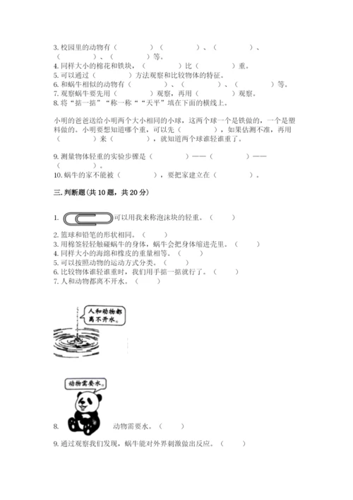 教科版一年级下册科学期末测试卷含完整答案（全优）.docx