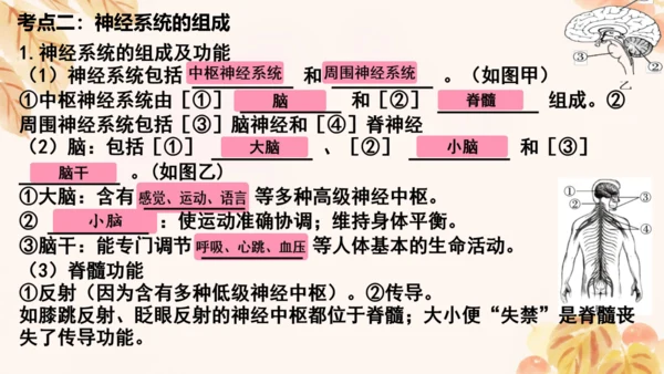第四单元第五、六章复习课件(共33张PPT)人教版七年级下册