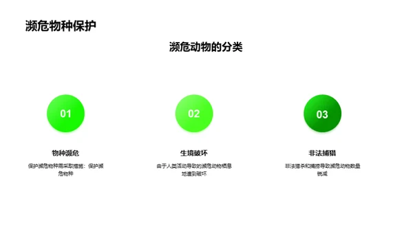 3D风其他行业教学课件PPT模板