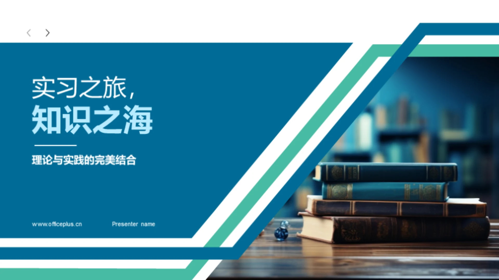 实习之旅,知识之海