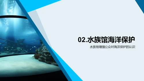 海洋守护：水族馆的角色