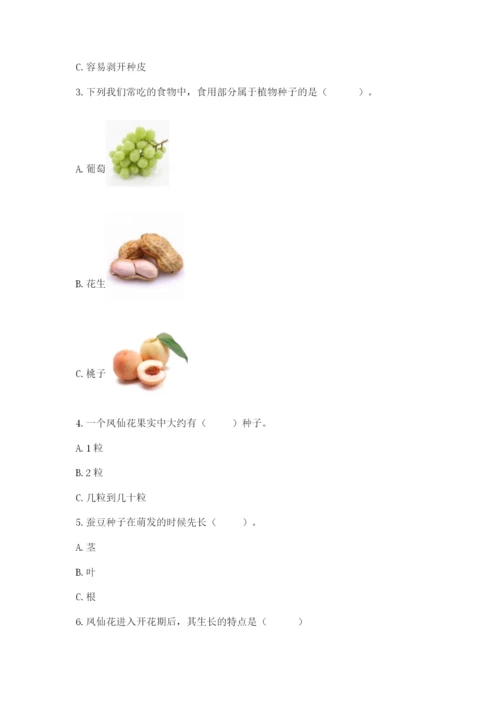 科学四年级下册第一单元《植物的生长变化》测试卷【完整版】.docx