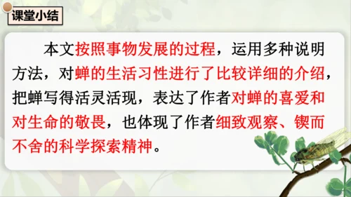 21《蝉》课件