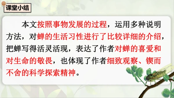21《蝉》课件