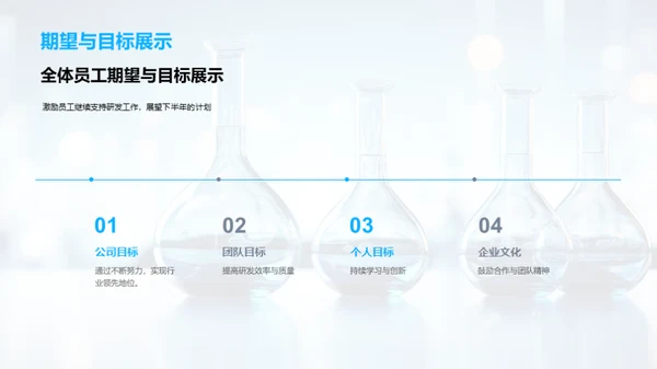 研发成果与未来展望