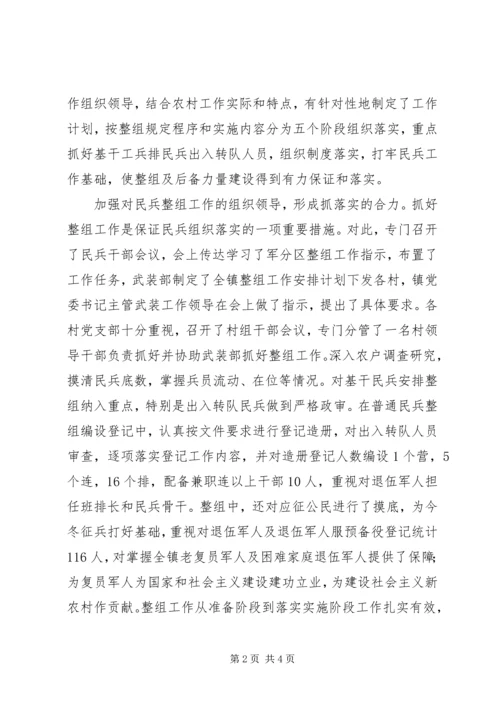乡镇民兵组织工作总结.docx