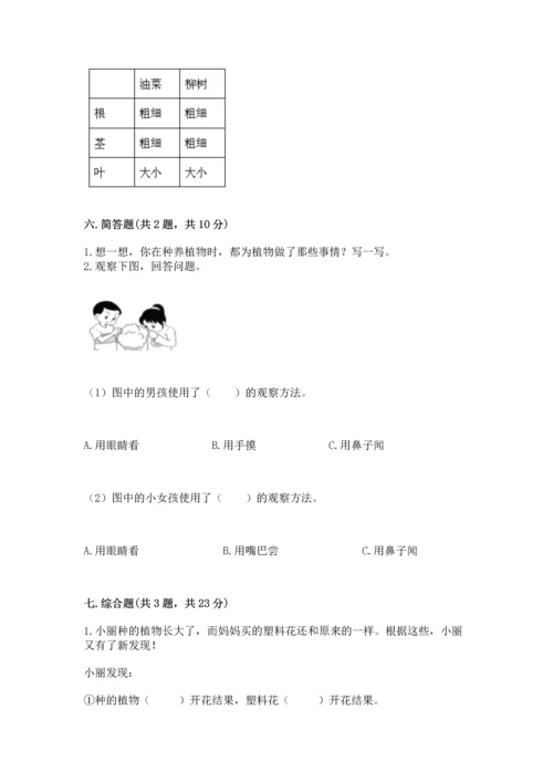 教科版科学一年级上册第一单元《植物》测试卷及答案（精选题）.docx