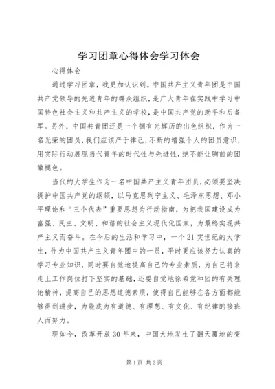 学习团章心得体会学习体会 (2).docx