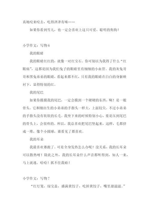 小学作文：写物.docx