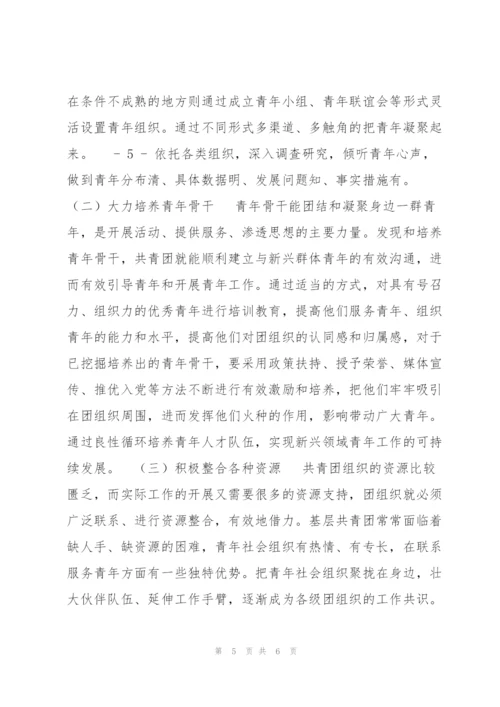 新型群体青年思想引领汇报材料.docx