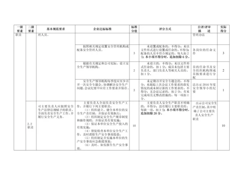 XX公司安全生产标准化自评表.docx