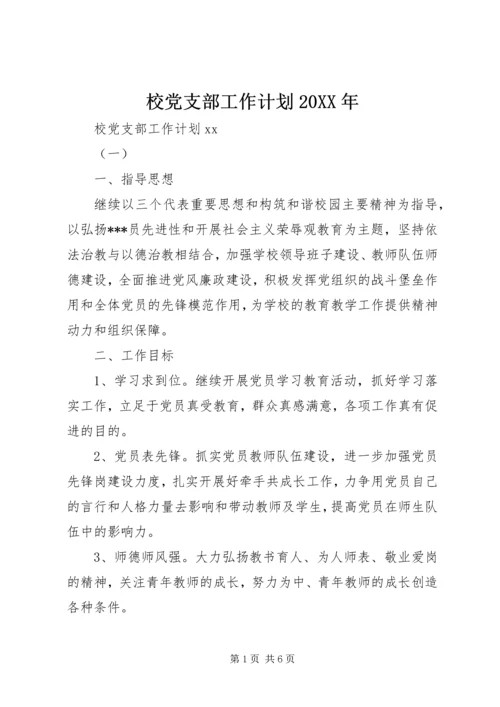 校党支部工作计划20XX年.docx