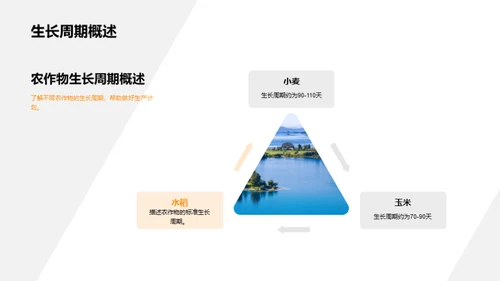 农业生产动态解析
