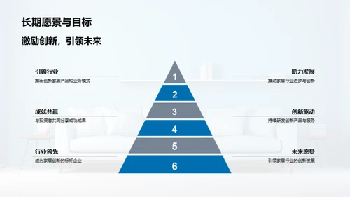 家居创新的领航者