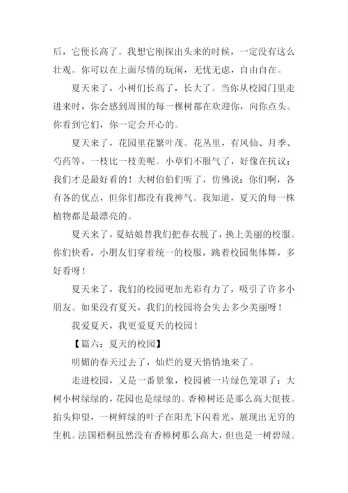 夏天的校园作文500字.docx