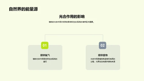 植物世界的奇妙之旅