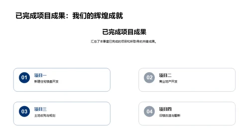 项目进程分析与未来规划