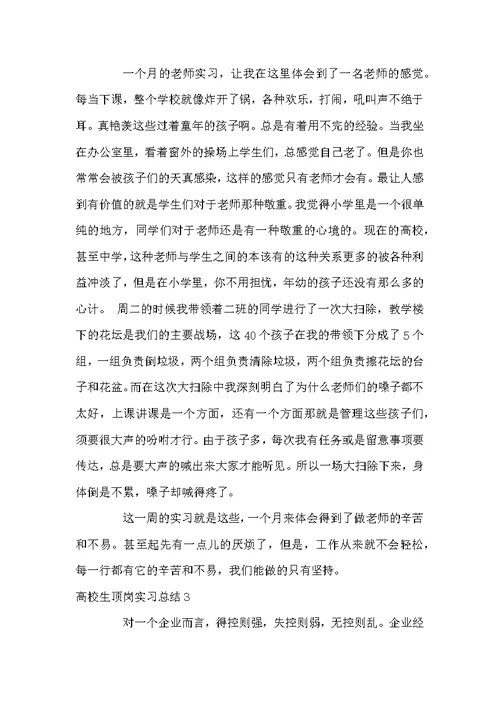 高校生顶岗实习总结10篇