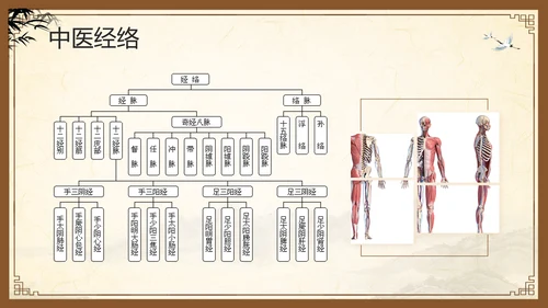棕色复古中医经络养生PPT模板宣传PPT动态PPT