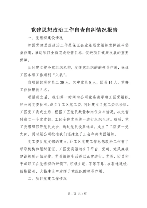 党建思想政治工作自查自纠情况报告.docx