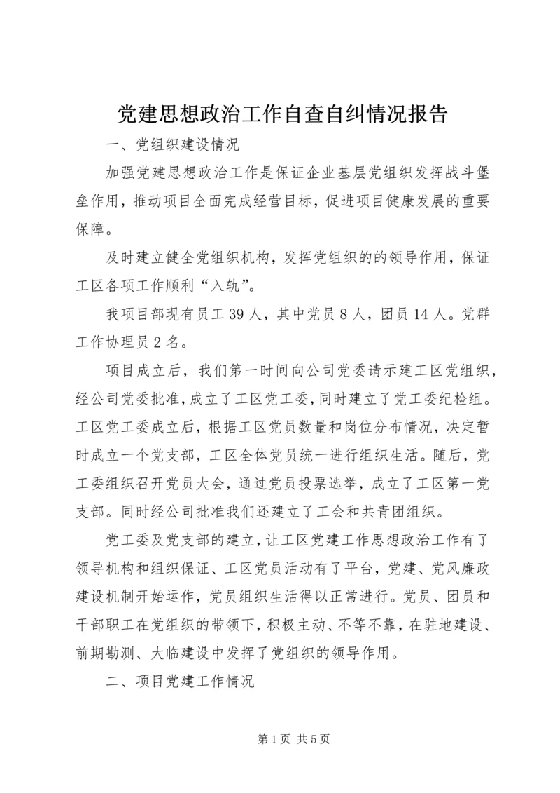 党建思想政治工作自查自纠情况报告.docx