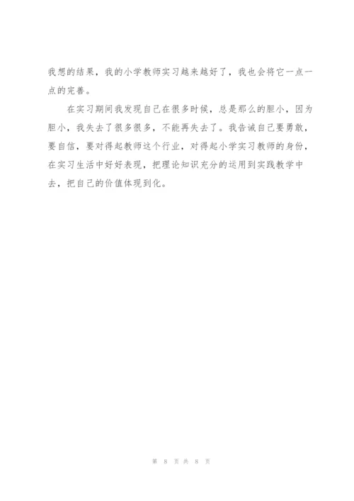 小学老师个人实习总结.docx