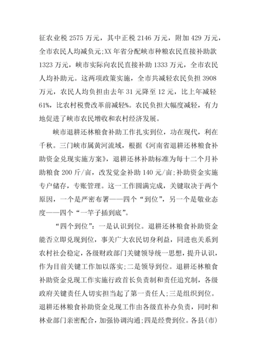 个人春节回乡调研研究报告.docx