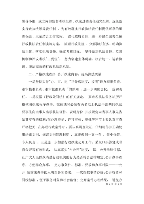 乡镇行政执法社会调查报告3篇.docx