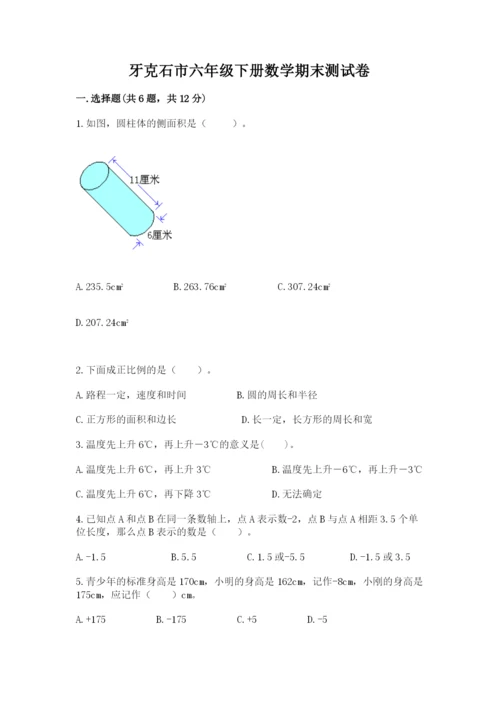 牙克石市六年级下册数学期末测试卷带答案.docx