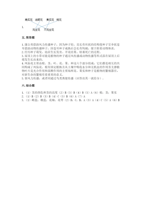 科学四年级下册第一单元植物的生长变化测试卷带答案（培优b卷）.docx