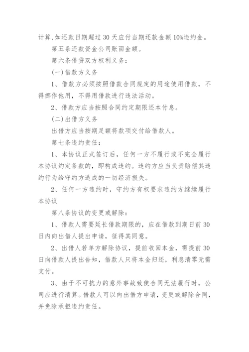 公司从个人借款合同.docx