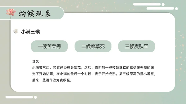 古意中国风小满PPT模板