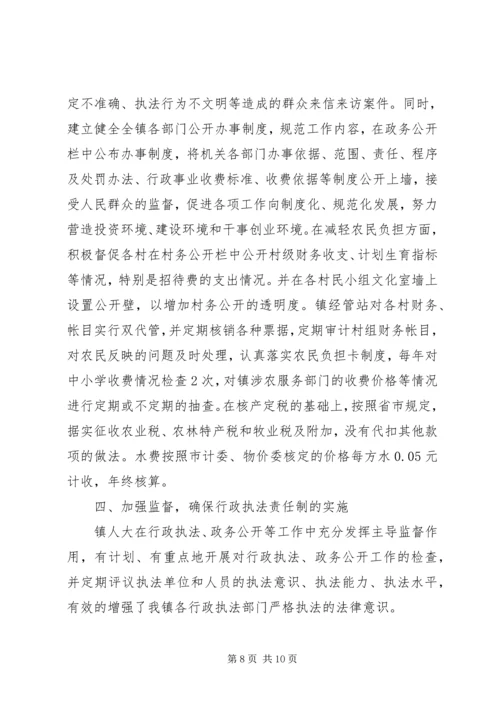 乡镇行政执法工作自查总结.docx